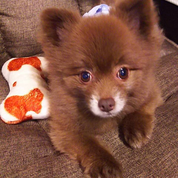 0a59e2b2 66d1 435f b7a8 f63dbf08a556