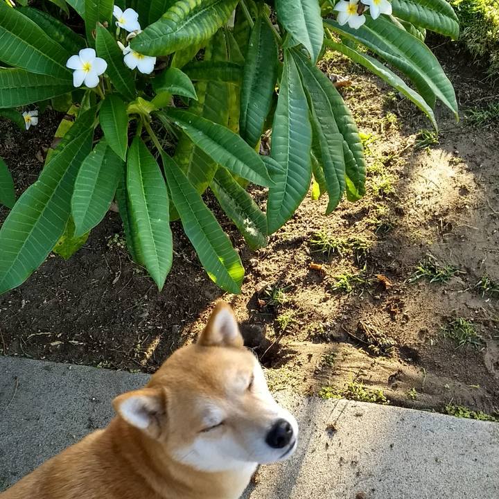 0a59ee15 3891 4aea a65b 3b309d817be4