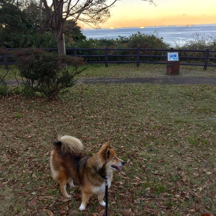 0a59f787 b796 4230 a0fc e5270486ccc3