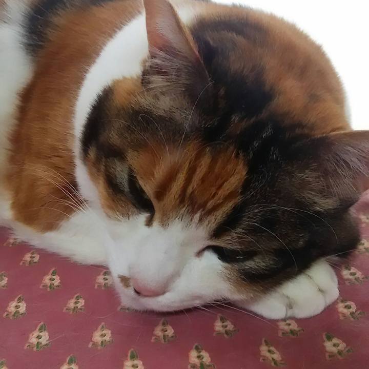 0a5a39ec 8dd8 42e1 a739 6bf60b3ee932