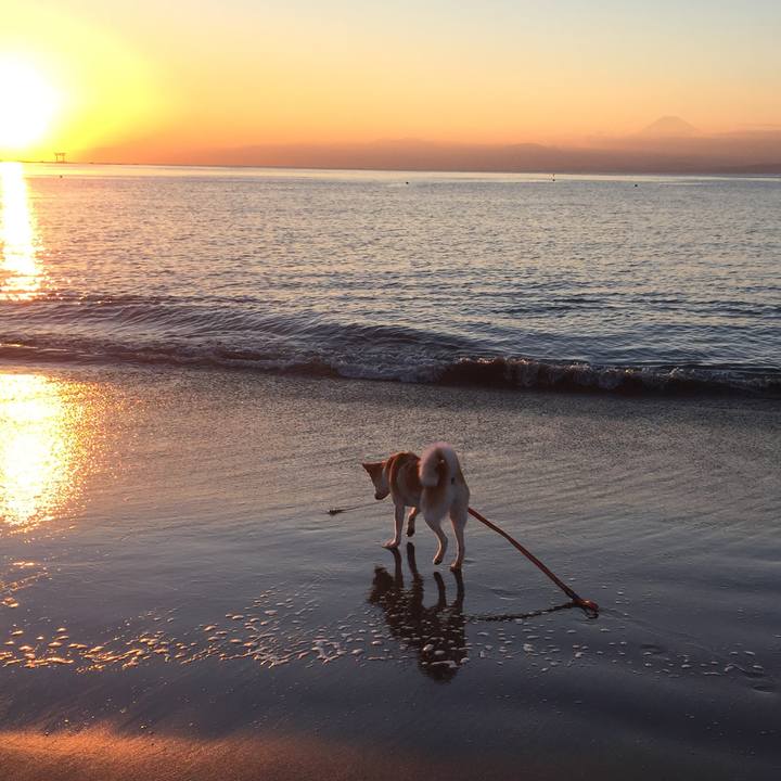 0a5b7ae7 3e12 4895 a786 59b1907e93a9