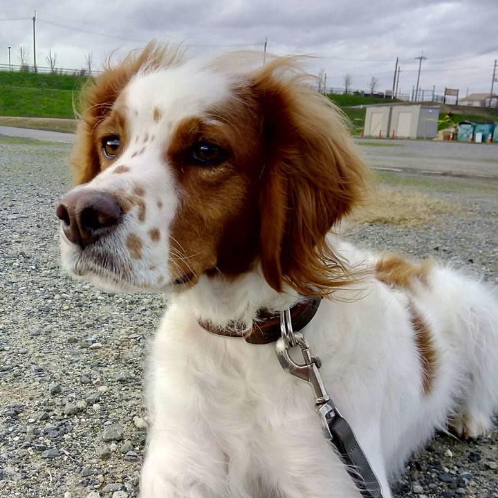 0a5c50f3 cea4 4b07 8521 b070ee179d75