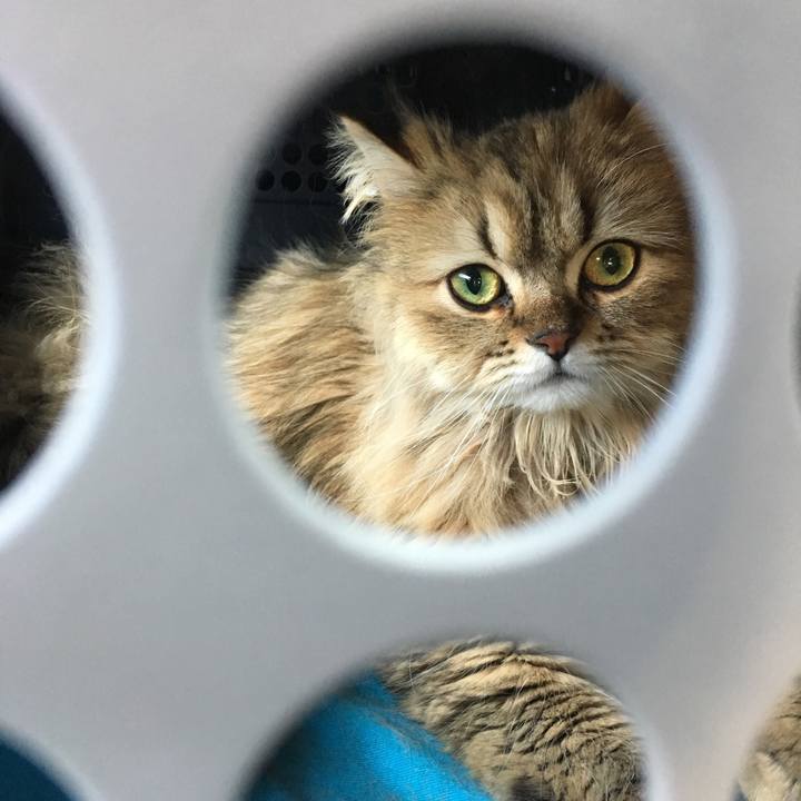 0a5c9c04 2af4 4449 b4d1 91fcea46d606