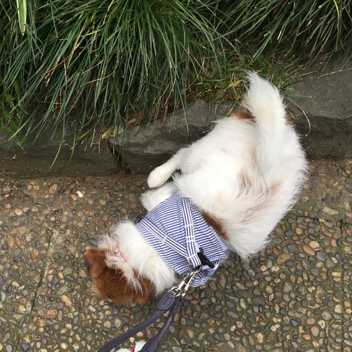 0a5cc2ea 5455 4f8c 838e 2032106b026f