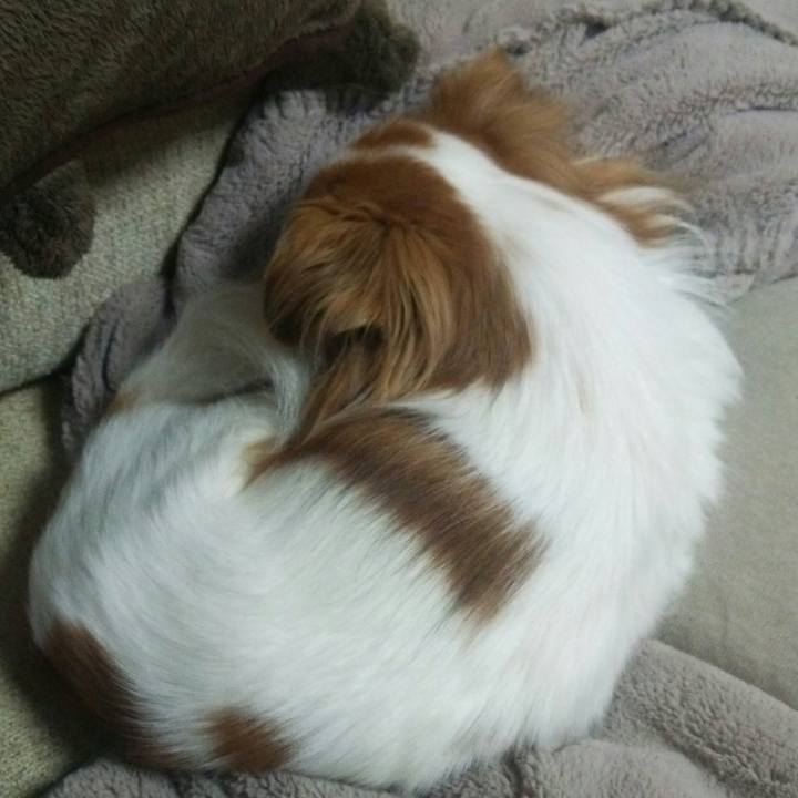 0a5d3159 cc5f 421f 92c4 b14609b35e7a