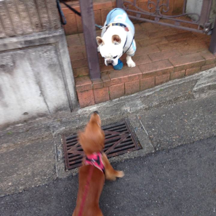 0a5d39ea 7d9e 4933 a9da d4152db314a1