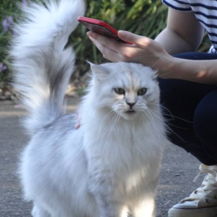 0a5d3b62 8213 4f12 a994 069b6207b19d