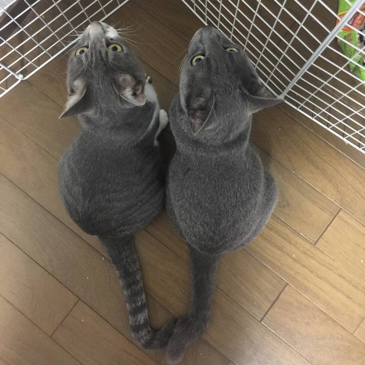 0a5d5db6 a53d 4dde 9b6a bae64e3bc226