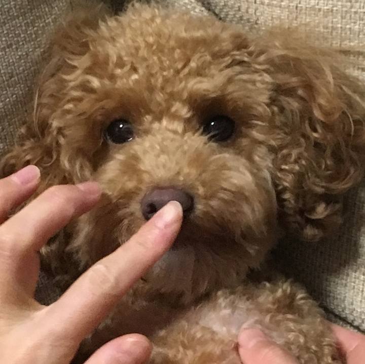 0a5d7096 80d8 48f0 a383 d3aee99d3125