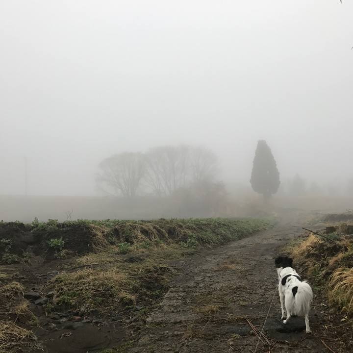 0a5ed288 08d9 439a 93cc eb0089790948