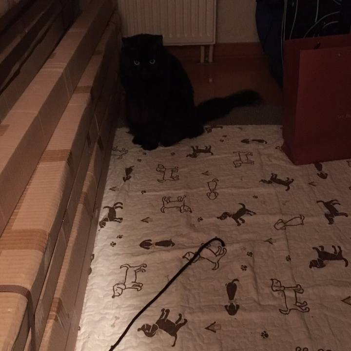 0a5eeb2f 6491 45bb 8a29 3119bb10aaa1