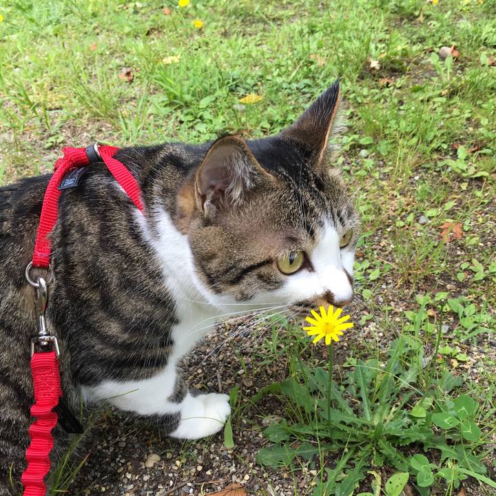 0a5f7a02 0a09 4587 9bc8 dadc10e98b99