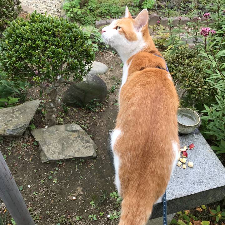 0a5f866e a971 4a37 8d6d bc1507f2ba40