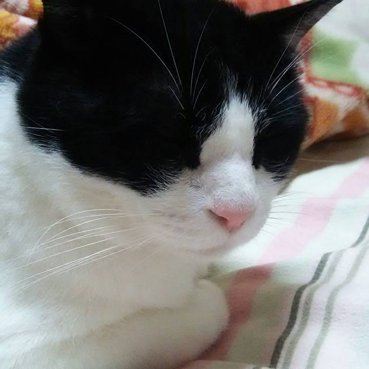 0a5fe18a bab2 40af 82fa 1e4867330874