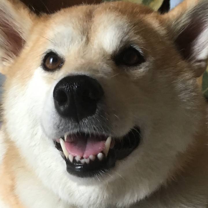 0a603b70 f902 4ac9 bb15 c2c7dcee21de