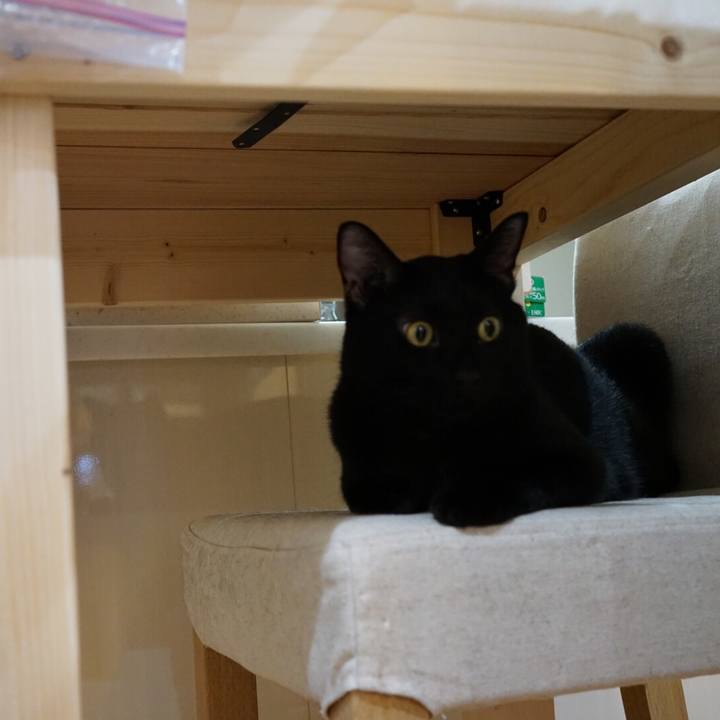 0a60900b 1e7e 46db 9ce0 3ff8ff06e1b8