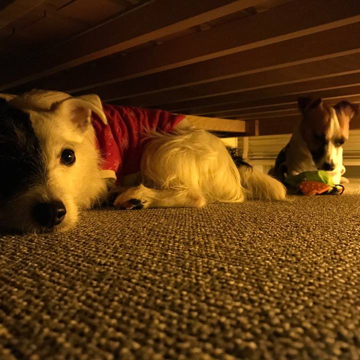 0a60d455 10b8 4f25 8b38 e4a1ec7235c9