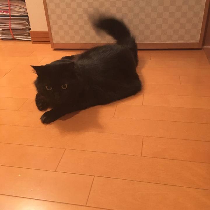 0a60e3b6 17bc 443f 8b0e 2391efd67f34