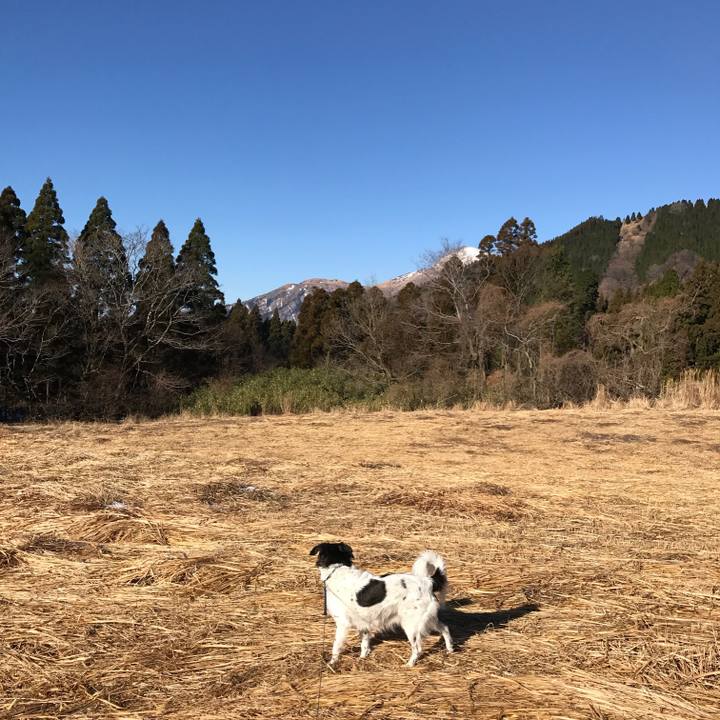 0a61a0cc 9ec4 4b21 8525 3318c805ea2b