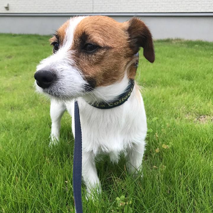 0a621c35 064b 40dc adda f199f3f486c0