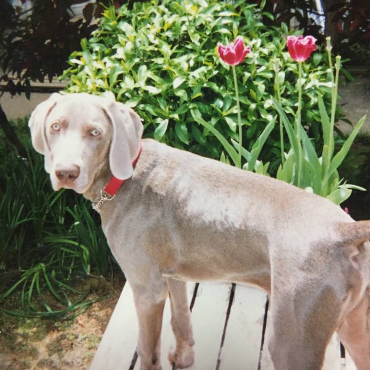 0a633803 849f 4e98 a36b 9fea4792f13f