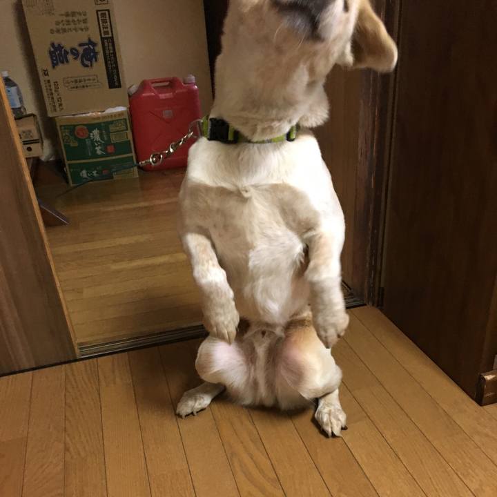 0a64510c 52b3 476f 99bc e0750d62f041