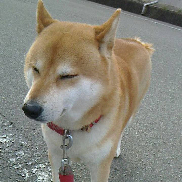 0a66183d 44ed 4073 a05c f1d27faa0b9e