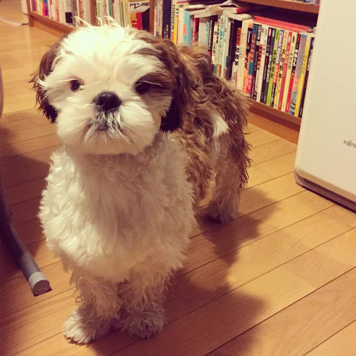 0a661df7 f046 4470 9d79 77b31ca4715b