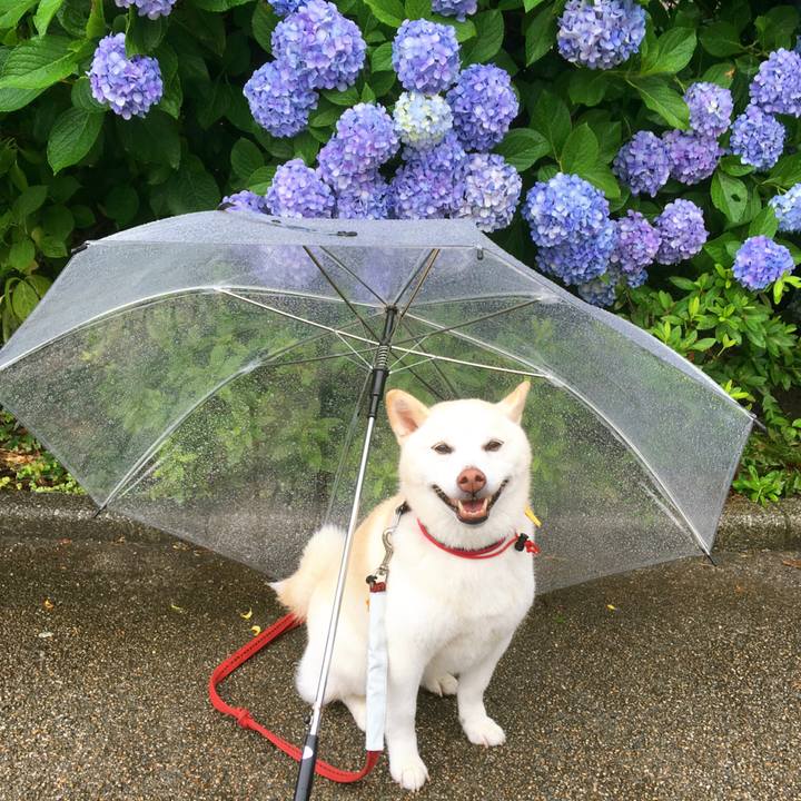 0a66fa9d 8347 4ecb b0ba e79f056083a7