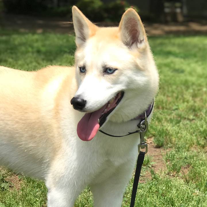 0a674c81 5651 46c0 a556 60d2f502f69e