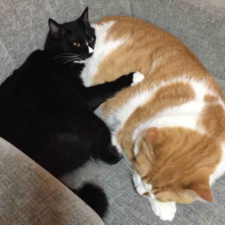 0a677c1a 9df7 4ec4 b49c d7d44d2db031