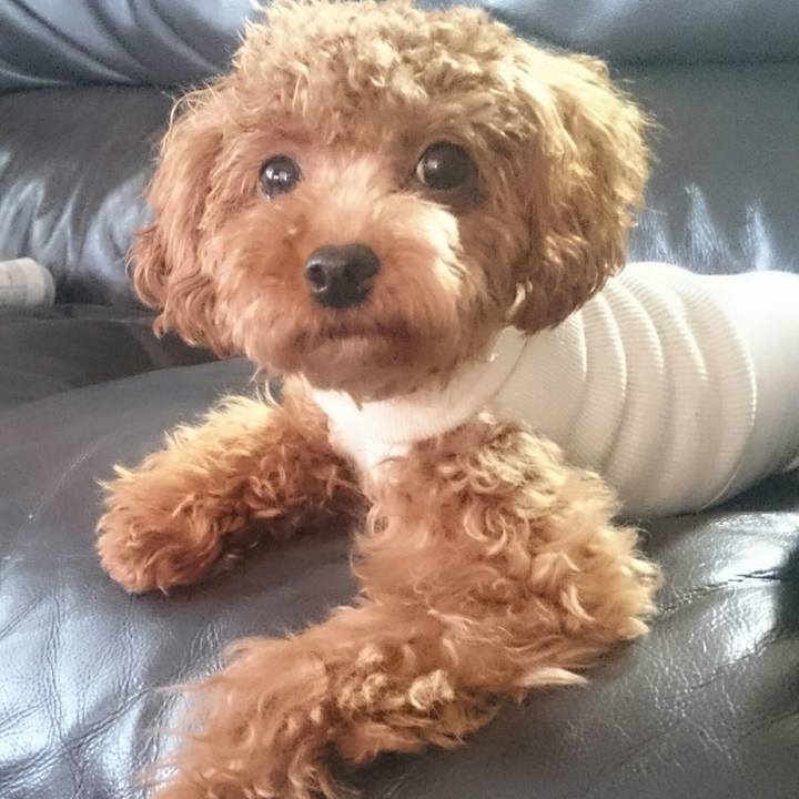 0a67b353 48f8 46de 844e 6ea7efd62965