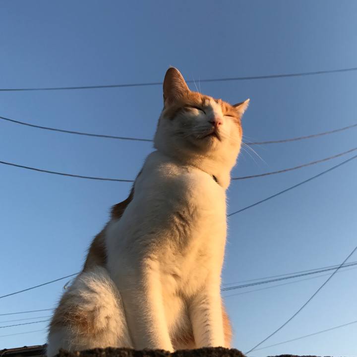 0a67c90d 3b4f 4a5c 8f84 e2db7e5f9994