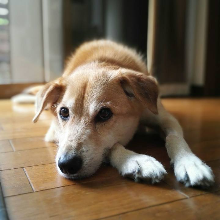 0a67e00c 4361 4803 bb01 a6fac29d1482