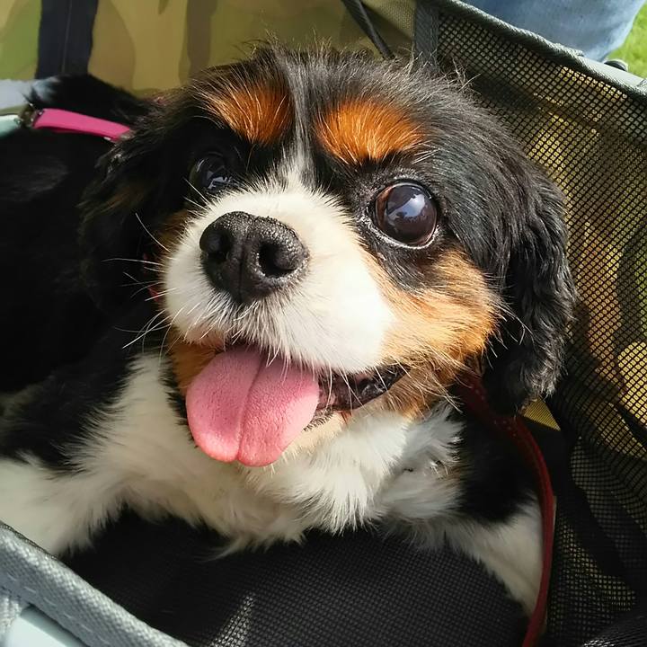 0a683407 c062 40bc 81ff d09ae27cb7e9