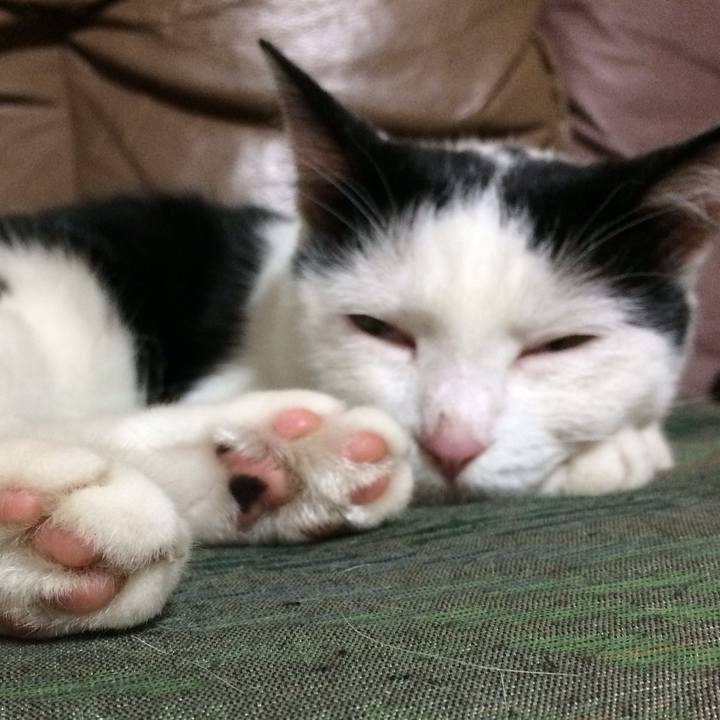 0a685a6e b92a 4bf5 aa7d 6298981b82c9