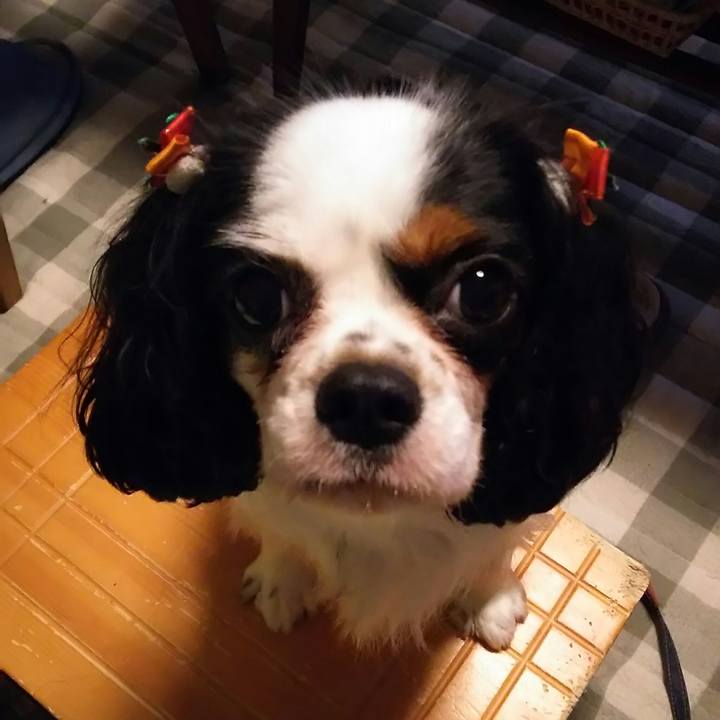 0a69fe9b af64 406e a6e2 4f238f1ca59c