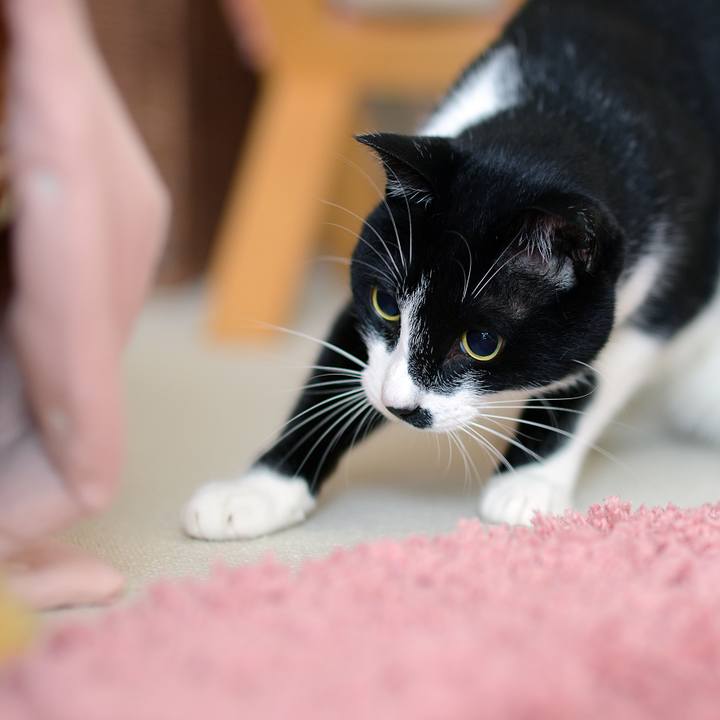 0a6a9b90 0be7 4e70 9bde 7671ce3749df