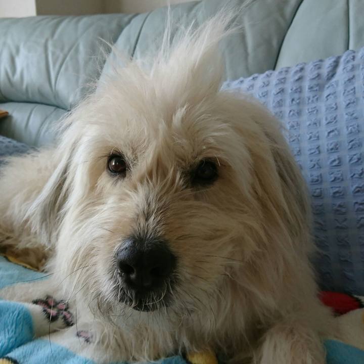 0a6b2bc5 4776 4d4a a523 c9c6a528884b