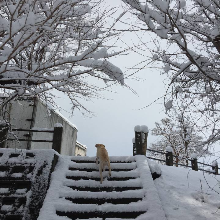 0a6c2b11 61a1 424b bab9 5341feab45a4