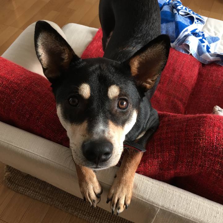 0a6c953f ea4c 435c b89c ba9b8f6ba10d