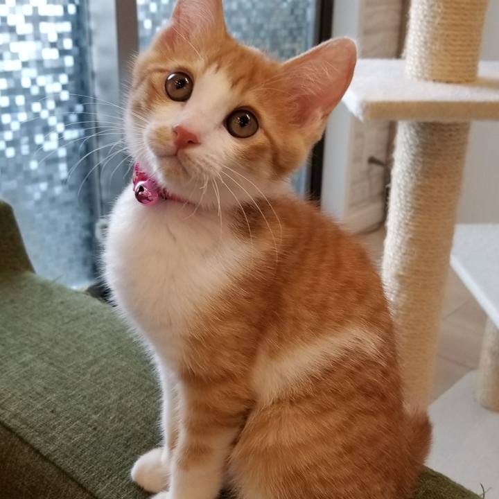 0a6cb2ed 6280 4a17 b7ca 6b6928002901