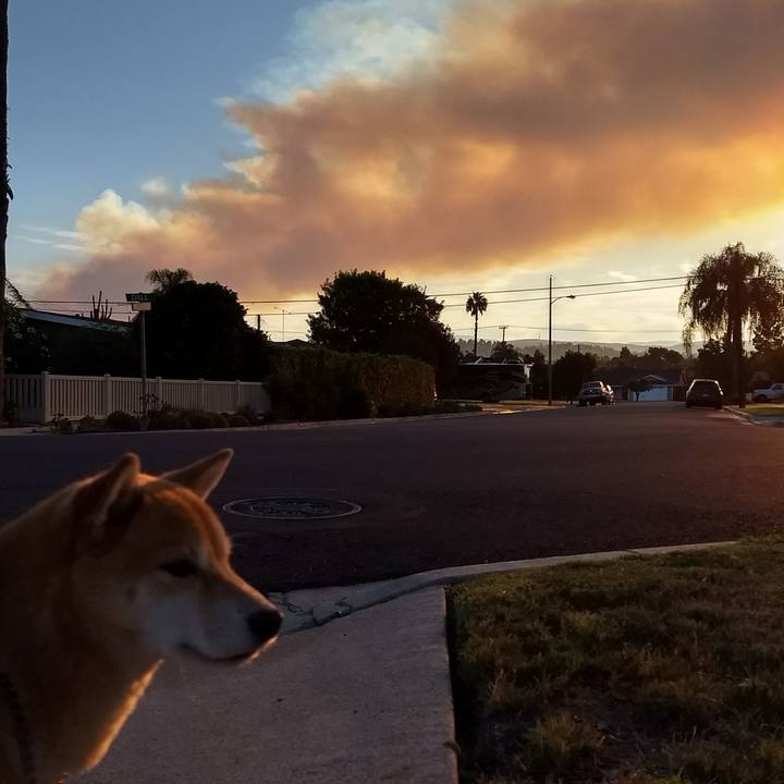 0a6cbe07 3570 4fba 8c3f e2d297d56055