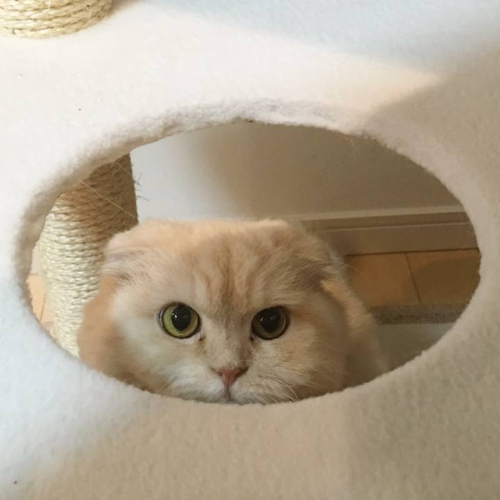 0a6d165d af14 482a 8108 f6893f97851a