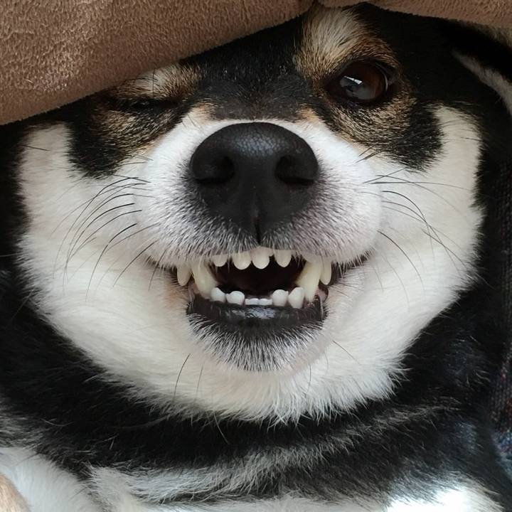 0a6d3c38 95fc 4113 a846 47a6b1de5a28