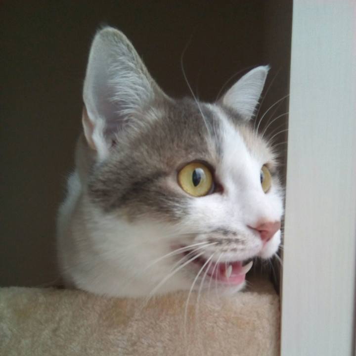 0a6d6de8 84b6 472b ae15 0b19d965a36c