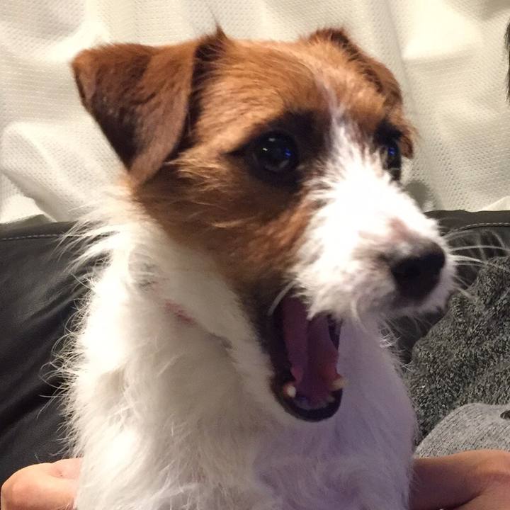 0a6d7219 1b75 4338 a348 3a64b3e89efe