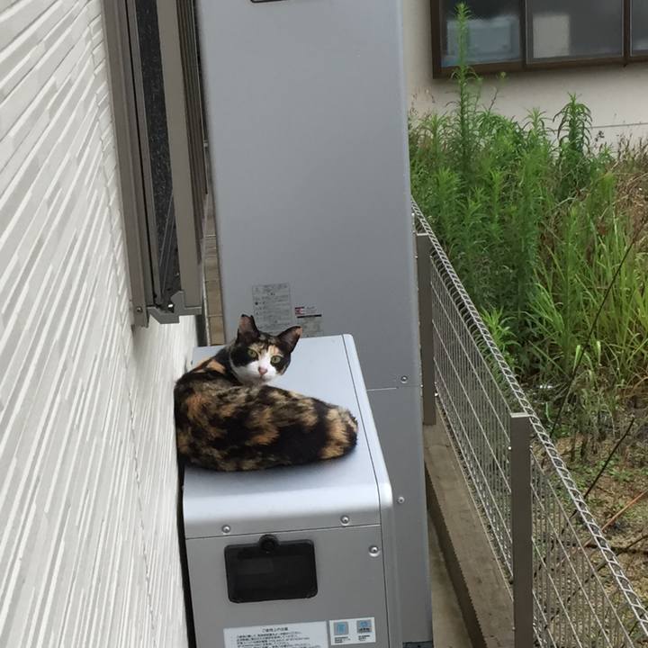 0a6d8b0f b672 4c72 b5dc b10aabaf2ab9