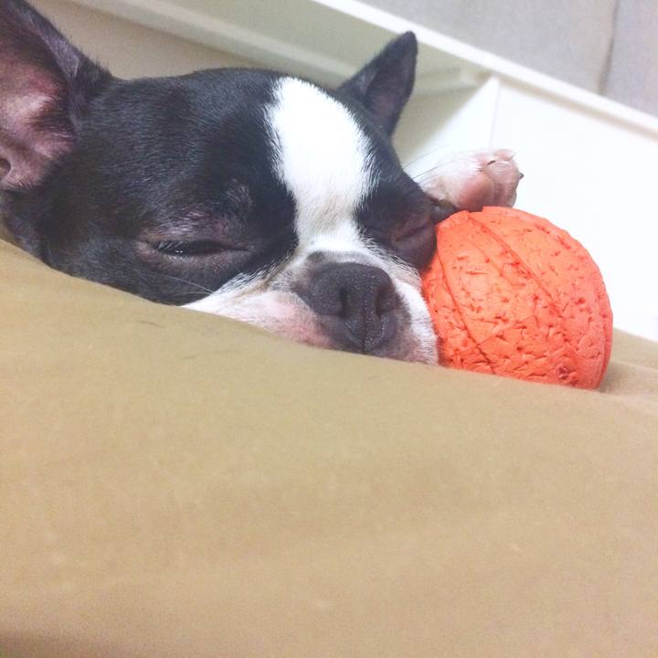 0a6dddf9 7e56 4264 a9aa 7260ea72a926