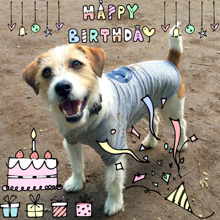 0a6de5ba 4d4c 4a8f 87ec 506862bbbff1